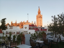 Fulton Terraza at Palacio Alcazar Logo